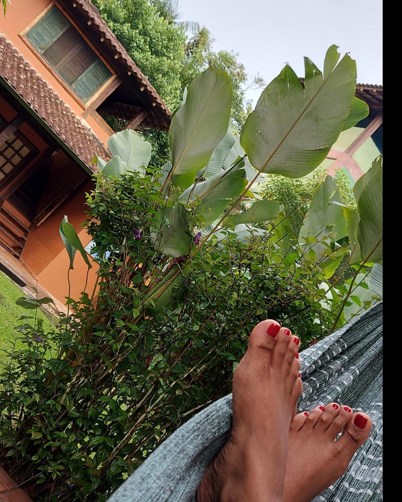 Hotel Quintal Da Mata Sao Sebastiao  Zewnętrze zdjęcie